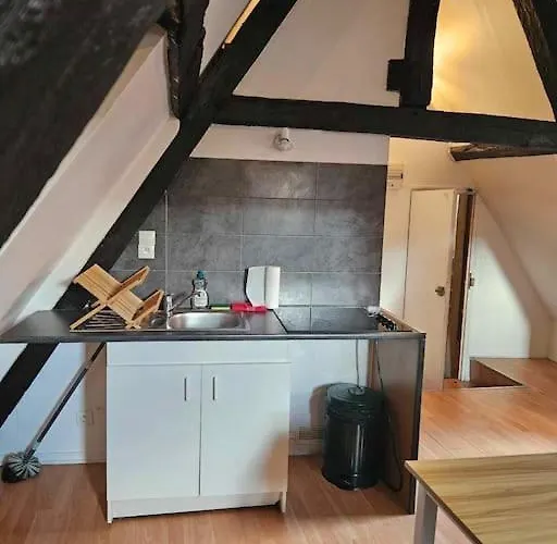 Le Petit Medieval Apartment Montlucon